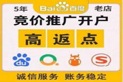 SEM公司案例研究：数据驱动营销策略
